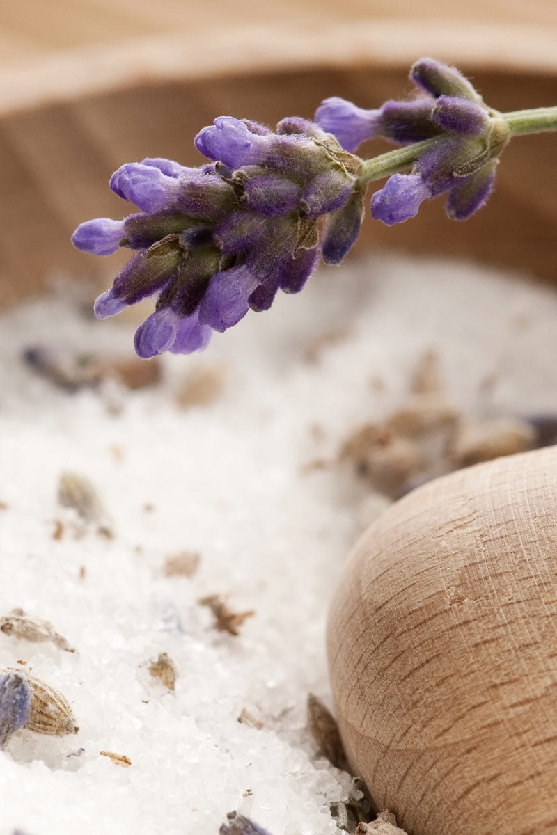 Lavender Sugar Syrup